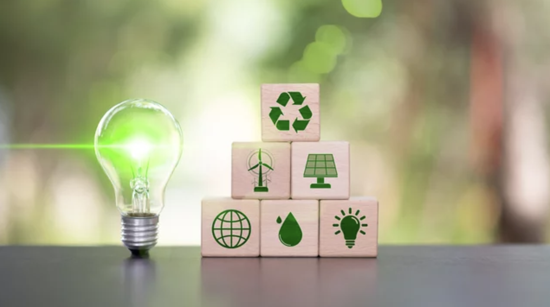 Eco‑Friendly Products & Methods Eco‑Friendly Products & Methods