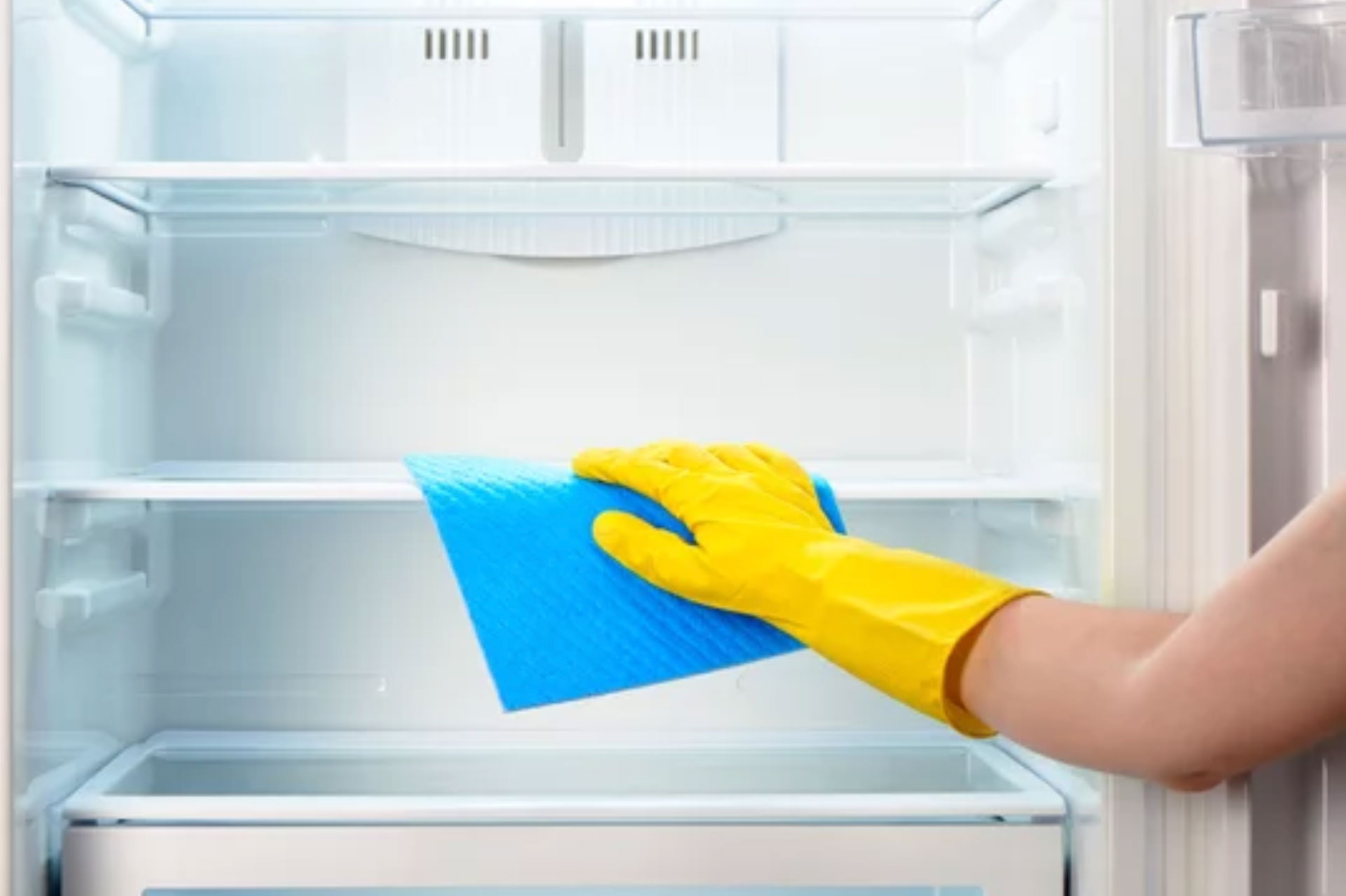 Refrigerator-Hygienic-Refresh Upholstery Refresh & Sanitise
